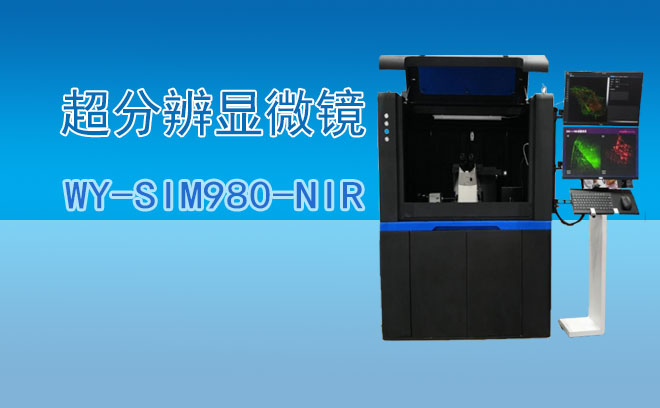 近红外结构光照明超分辨显微镜WY-SIM980-NIR